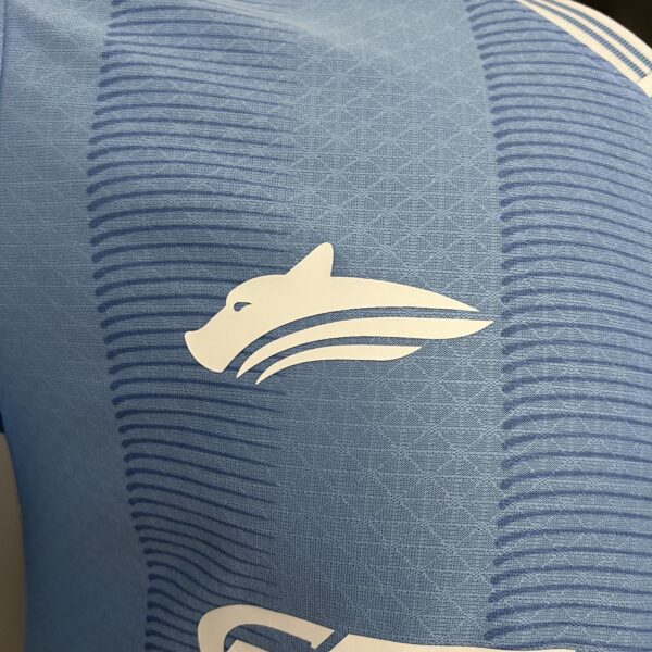 CAMISETA MANCHESTER CITY 2ª ESPECIAL EQUIPACIÓN 23/24 - Image 7